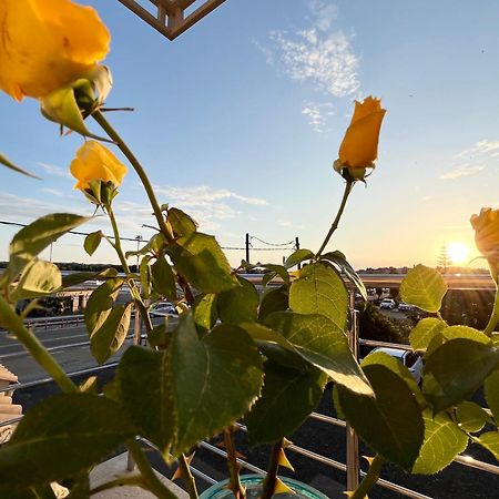 Corfu Airport Sweet Studio Esterno foto